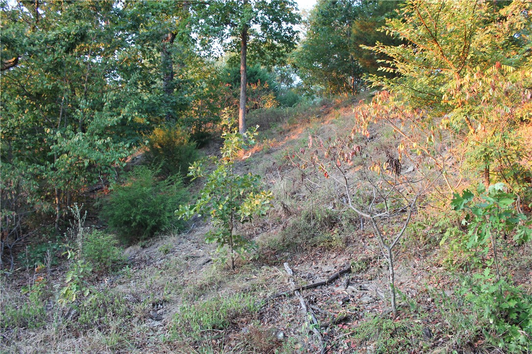 Image 14