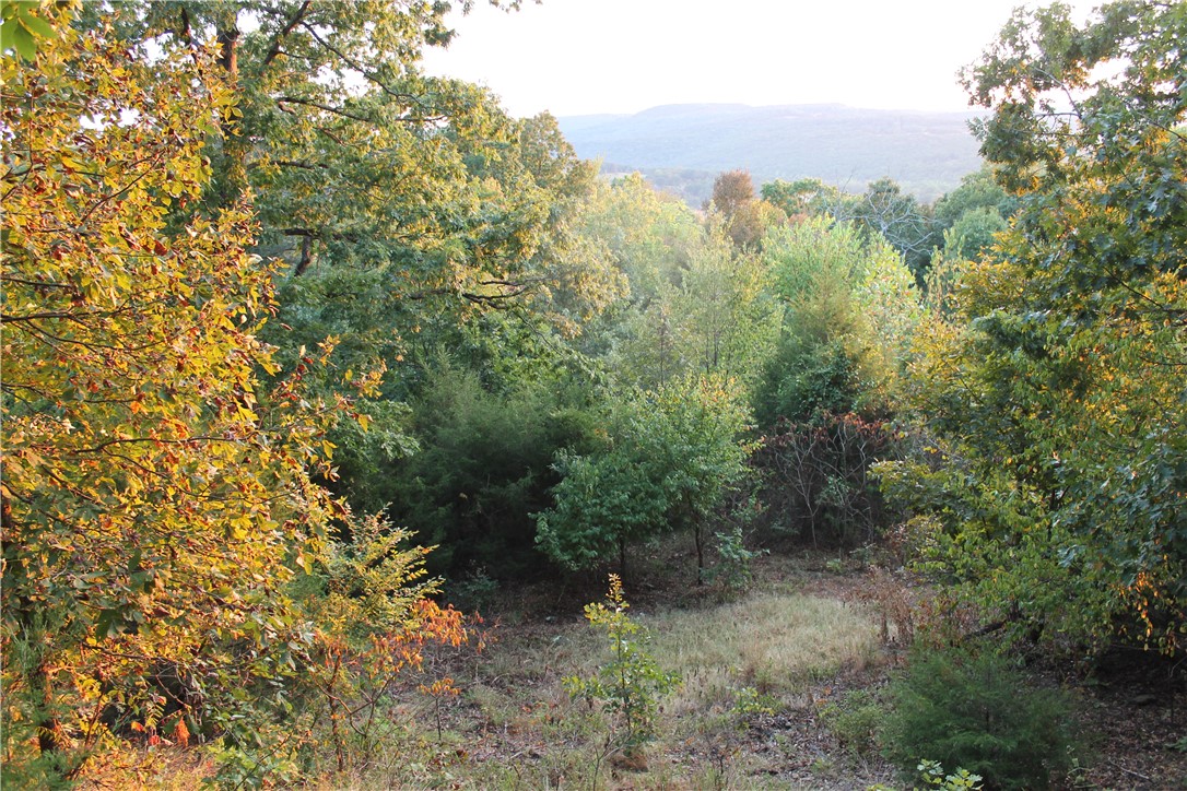 Image 15
