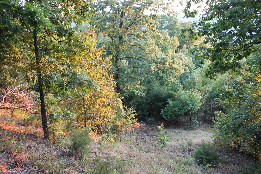 Image 16