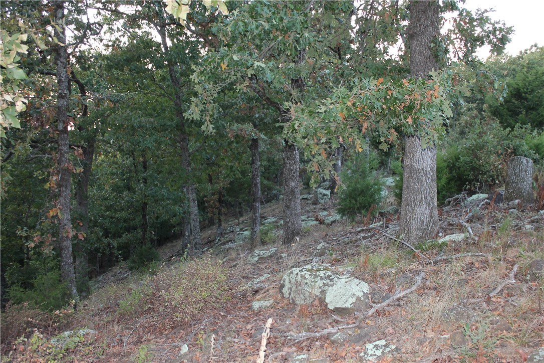 Image 20