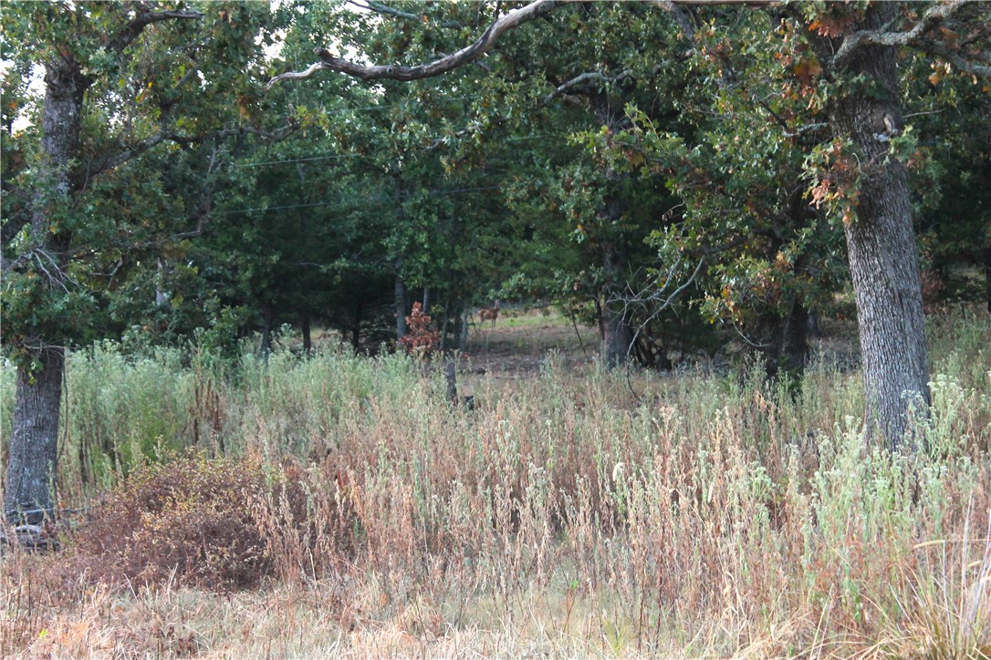 Image 21
