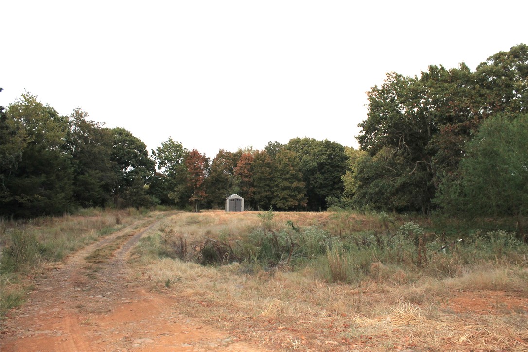Image 22