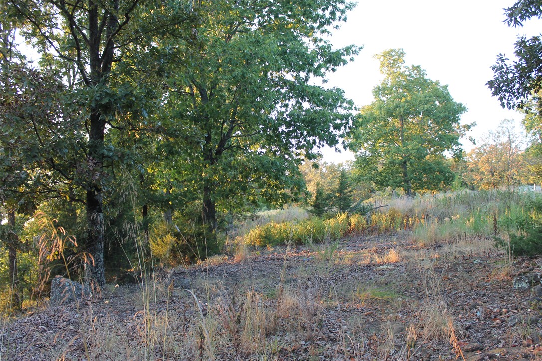 Image 9