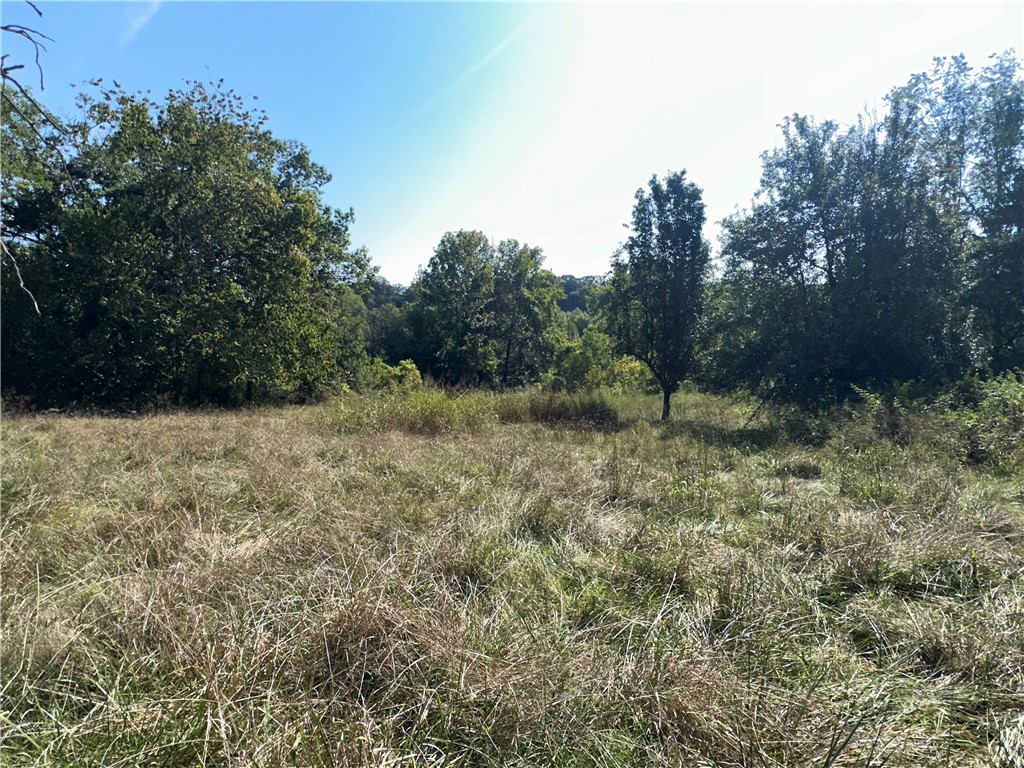 Image 28
