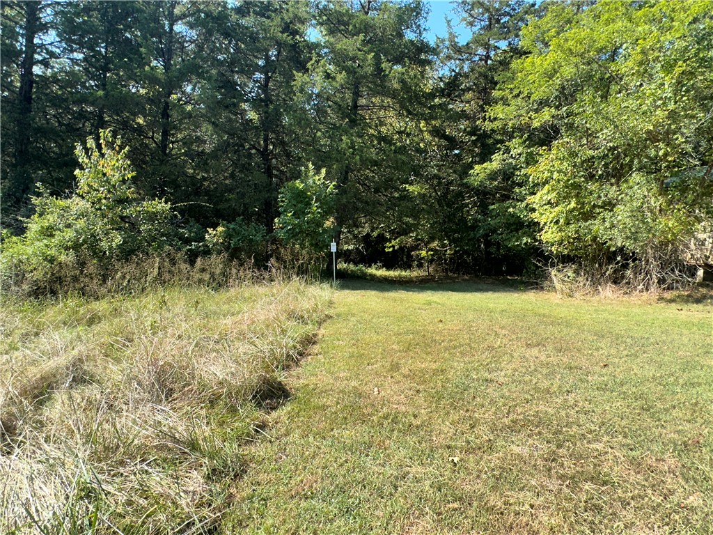 Image 30