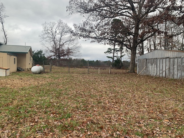 Image 8