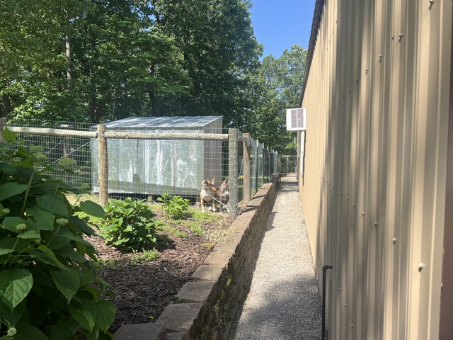 Image 18