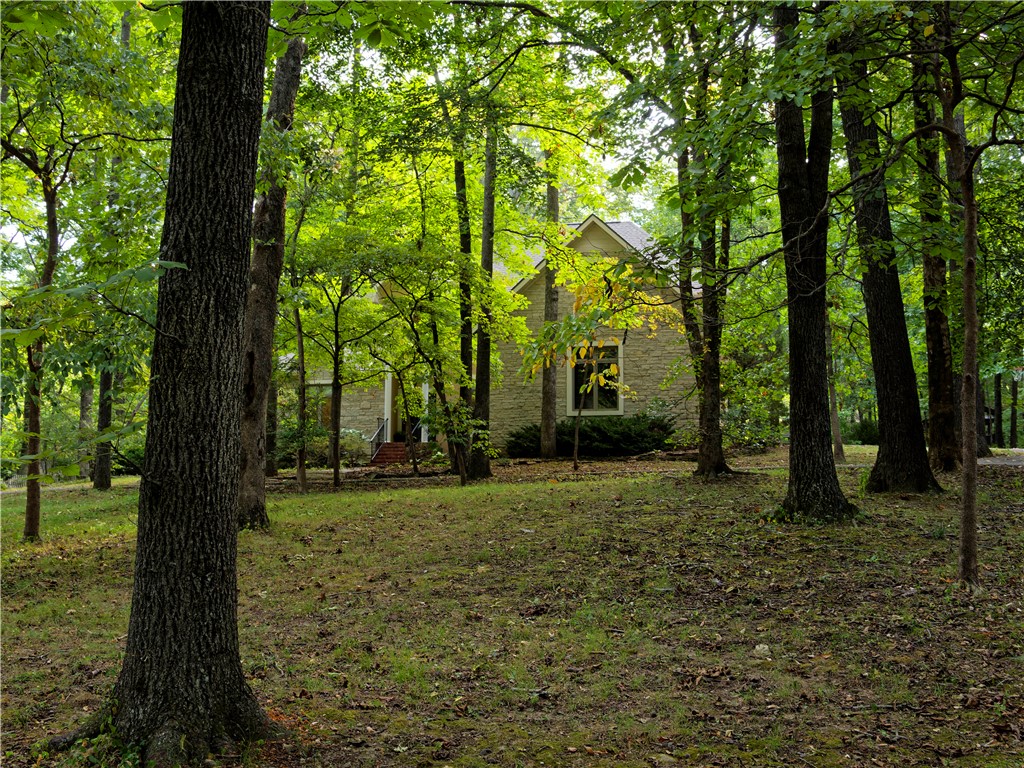 Image 10