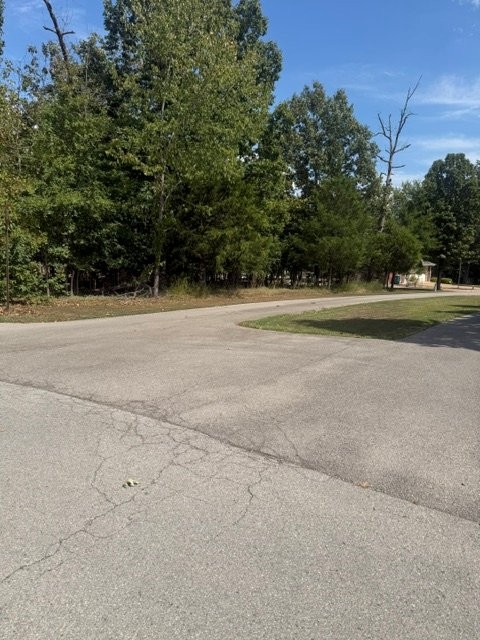 Image 11