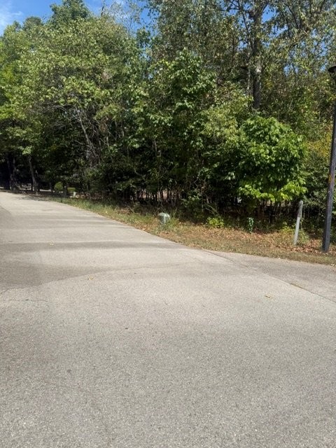 Image 13