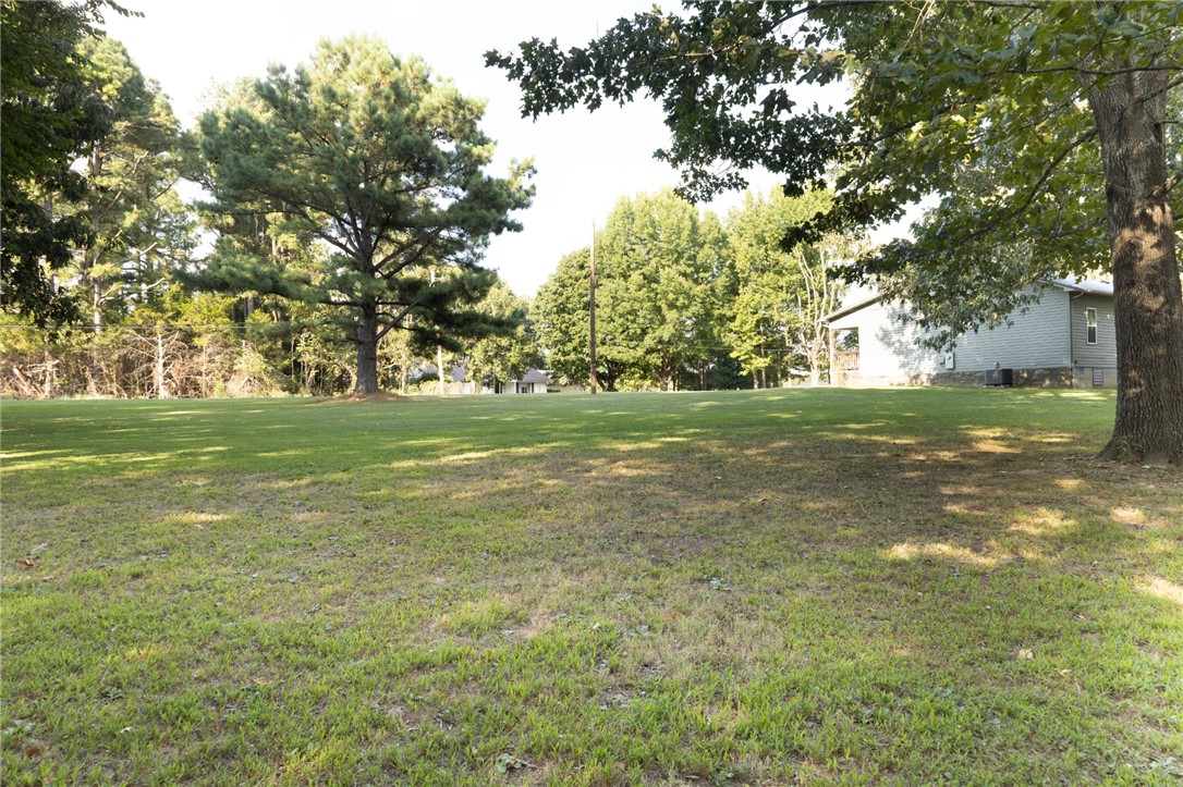 Image 20