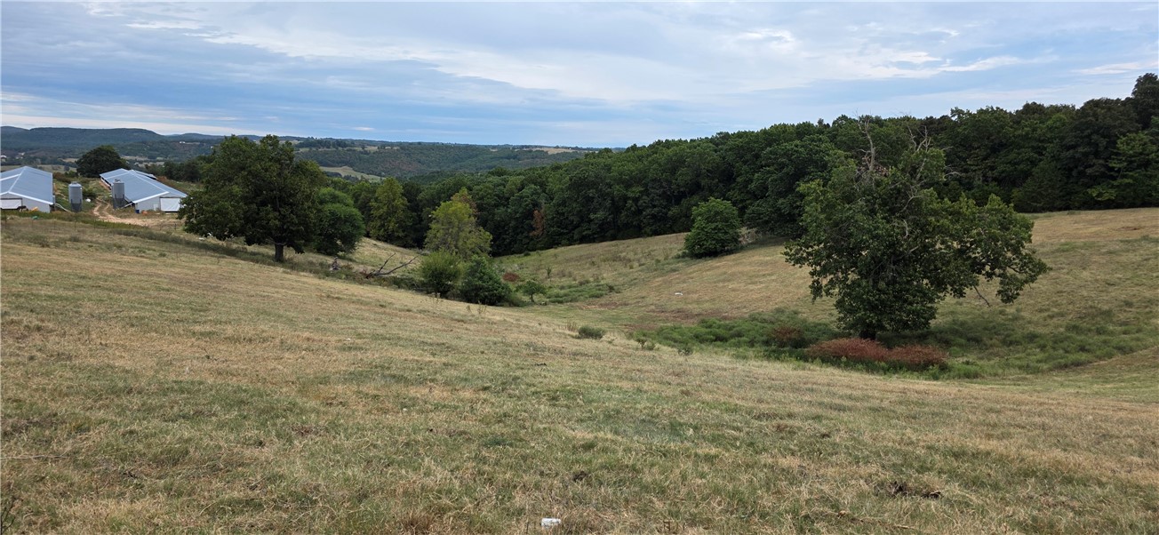 Image 25