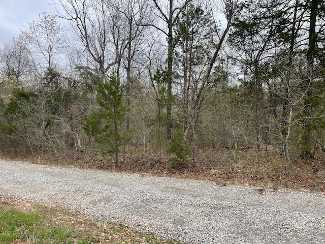 Image 6