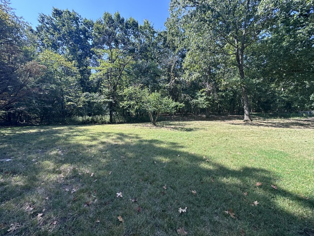 Image 18