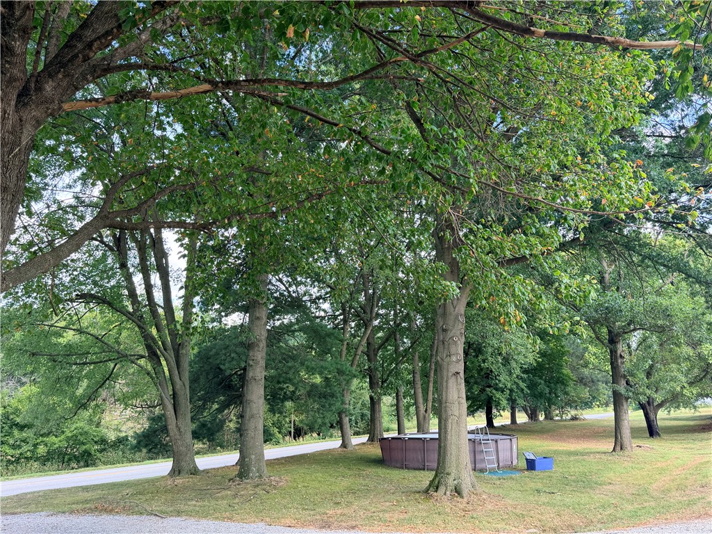 Image 15