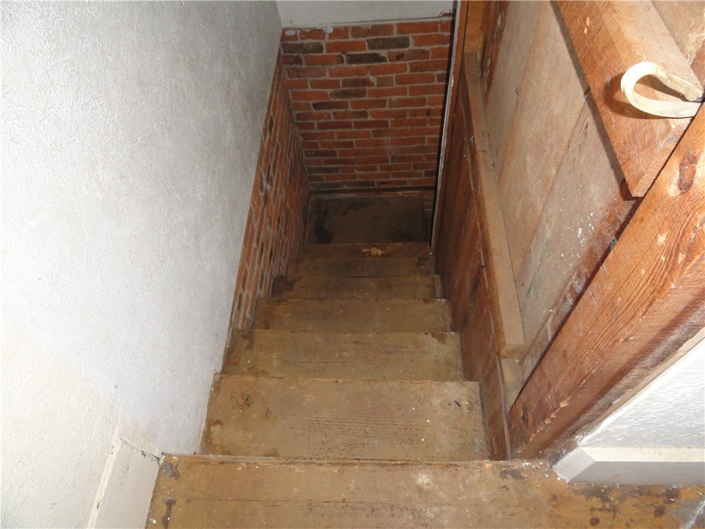 Image 46