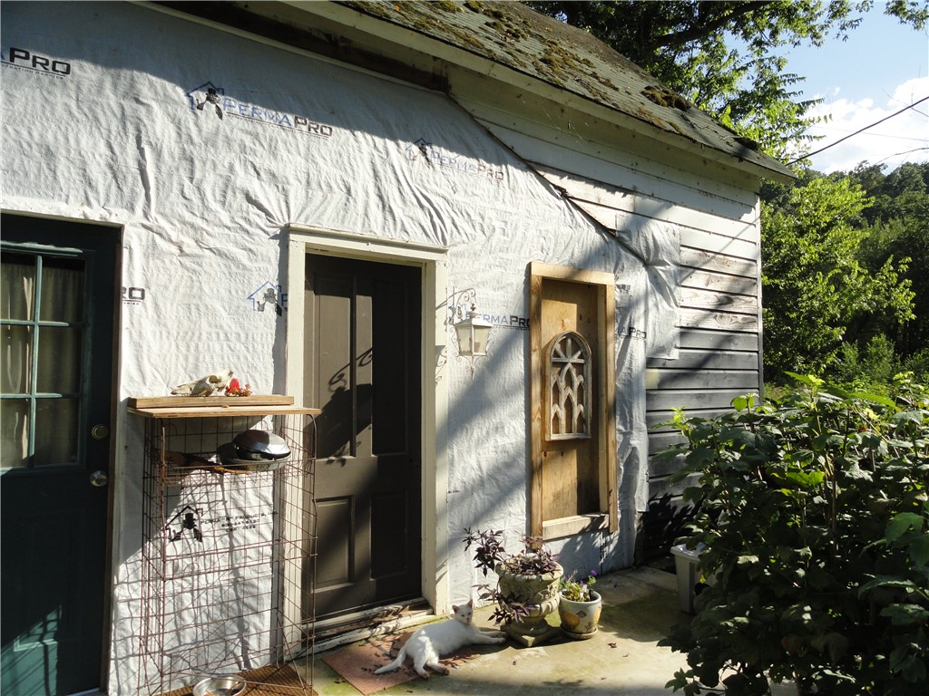 Image 11