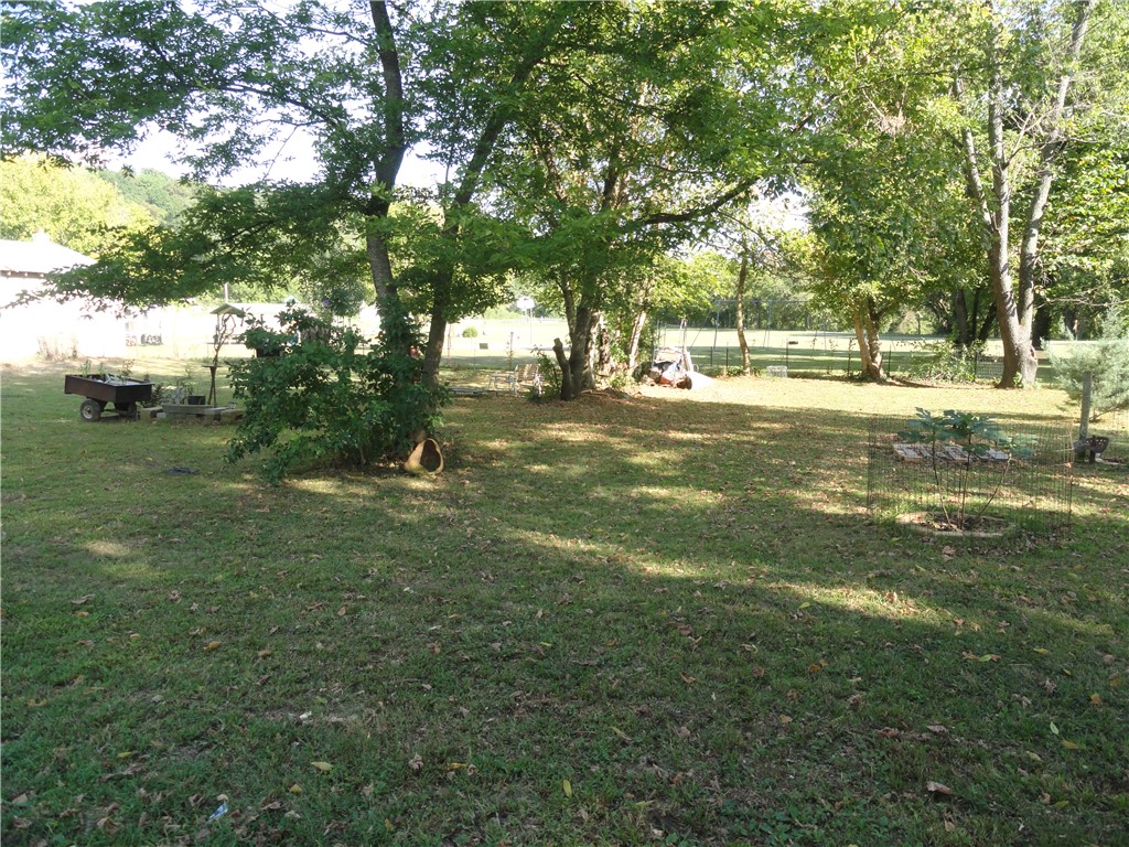 Image 14