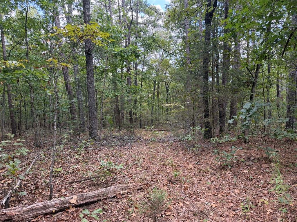 Image 13