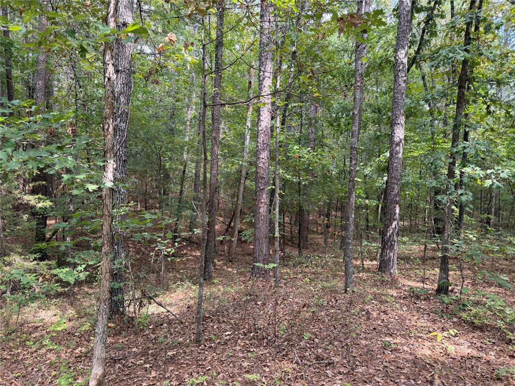 Image 14