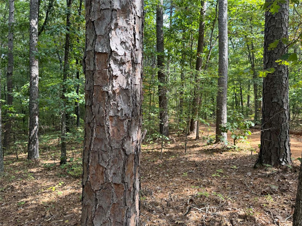 Image 15