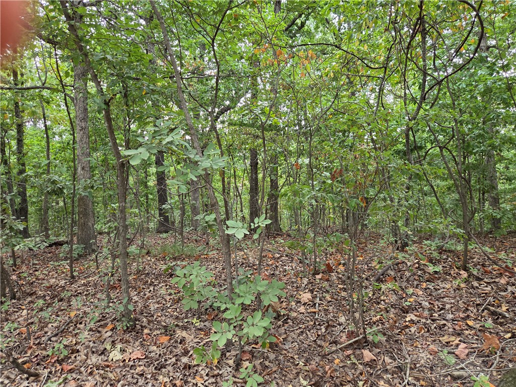 Image 9