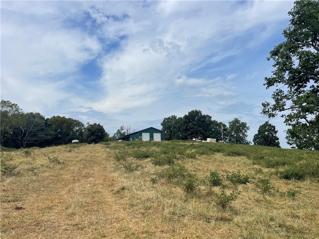 Image 15