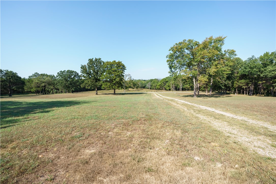 Image 37