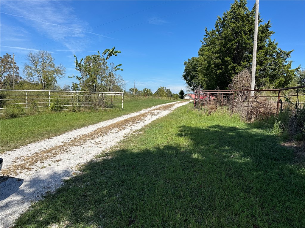 Image 12