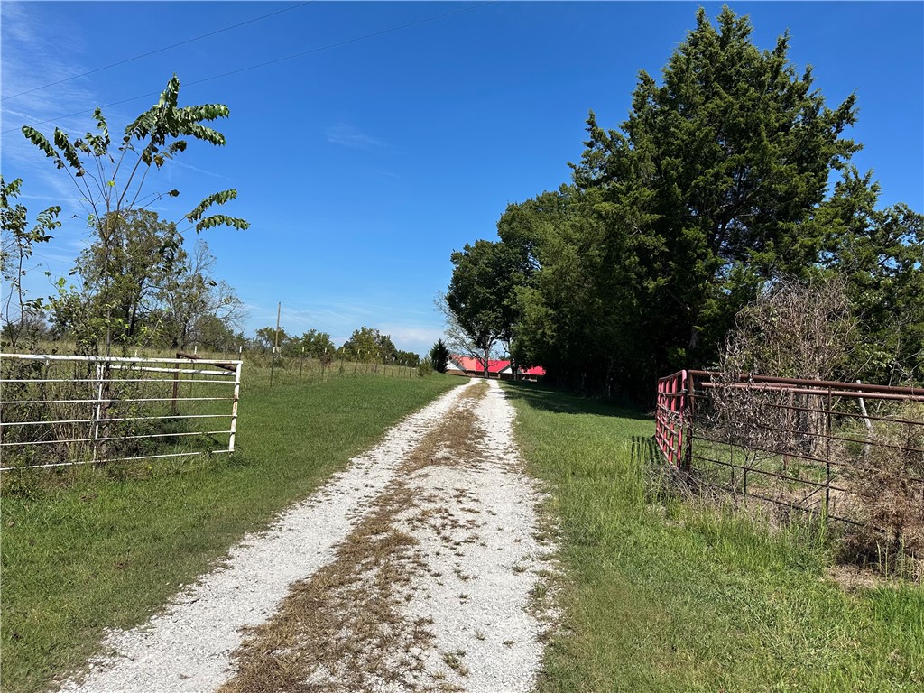 Image 13