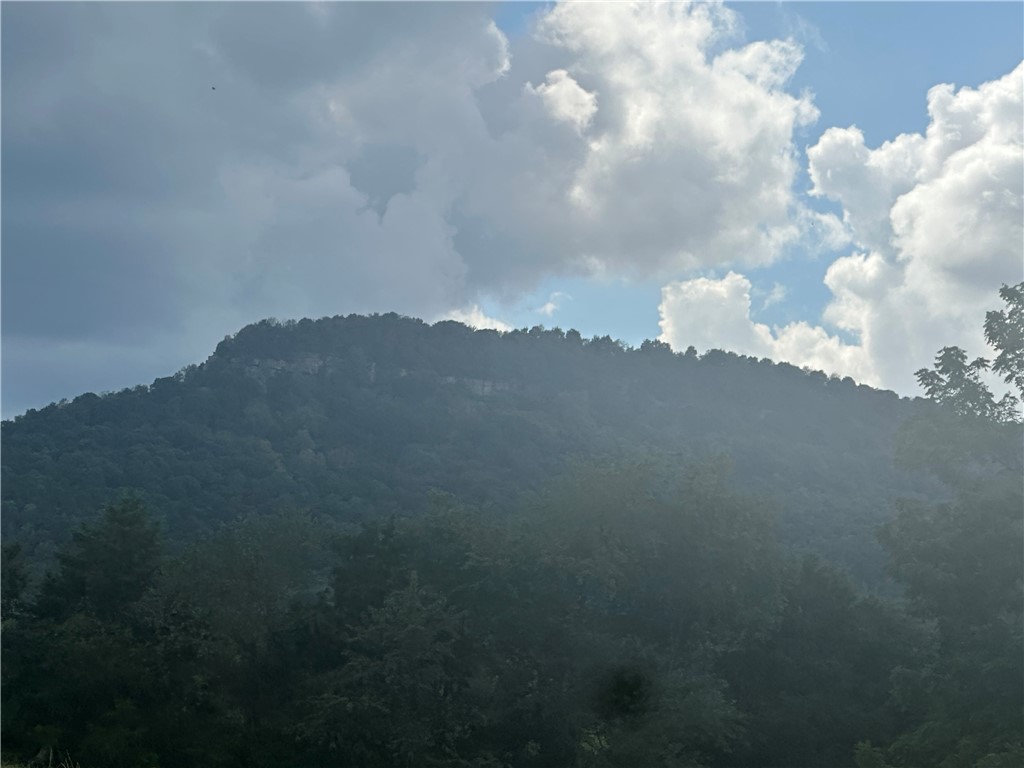 Image 14