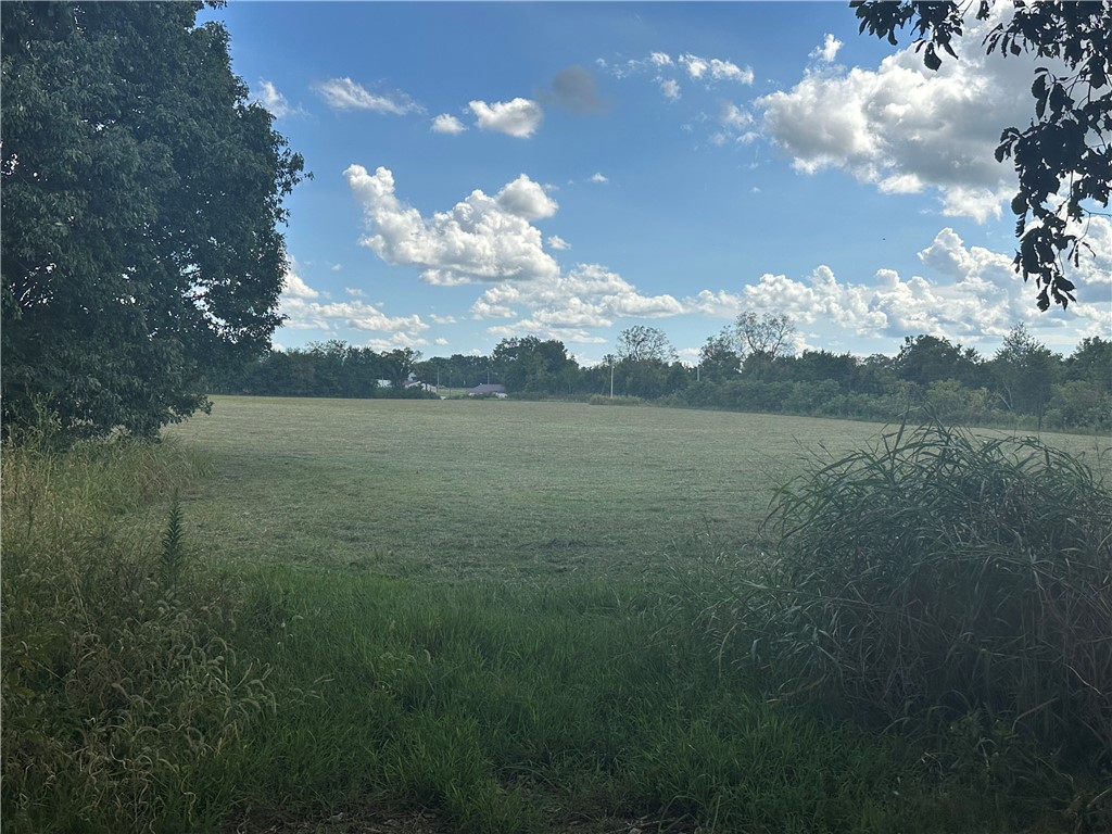 Image 15