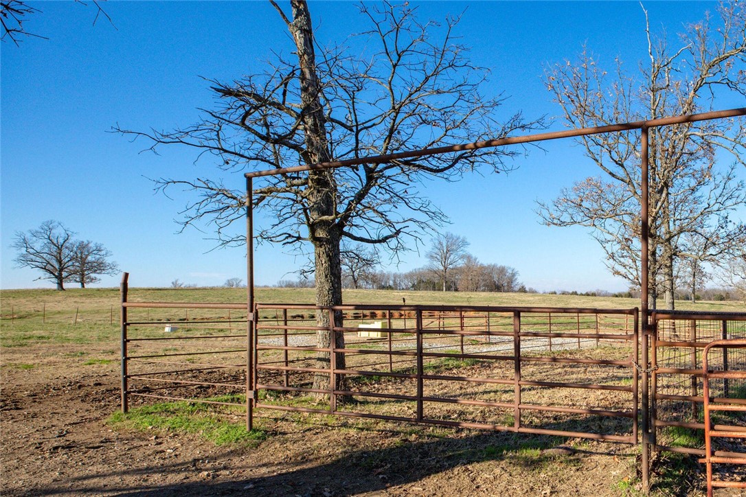 Image 23