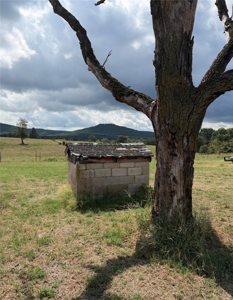 Image 10