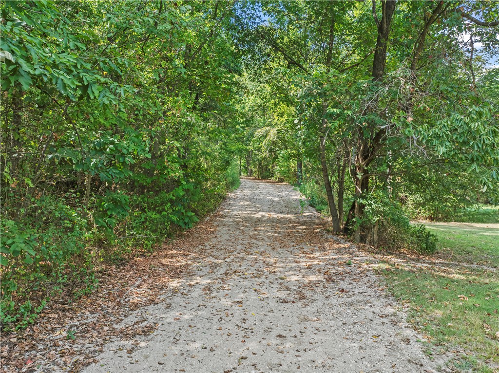Image 45
