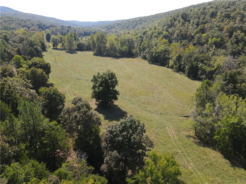 Image 14
