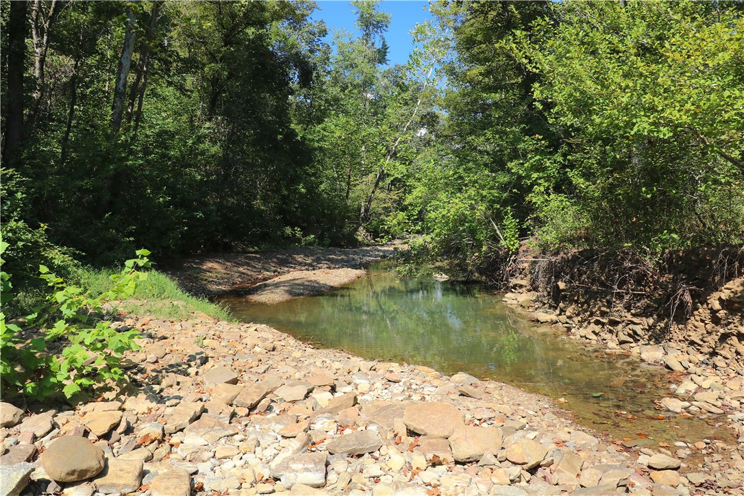 Image 18