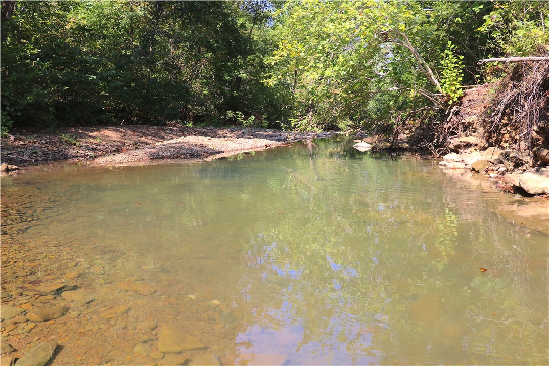 Image 19