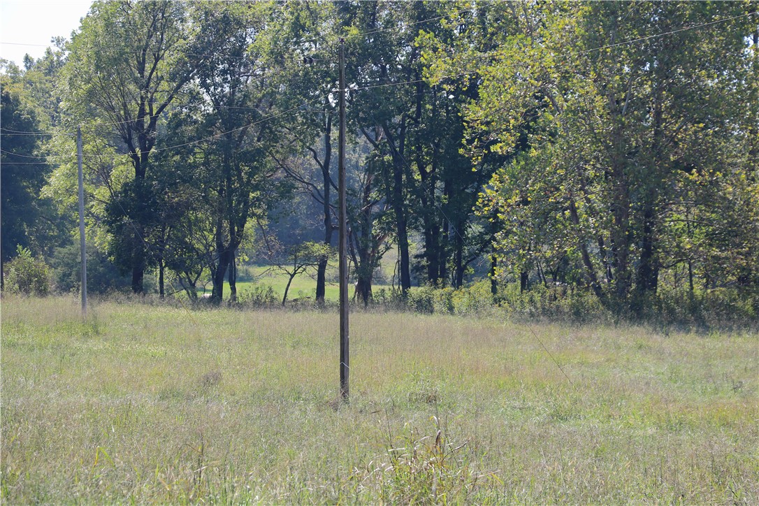 Image 27
