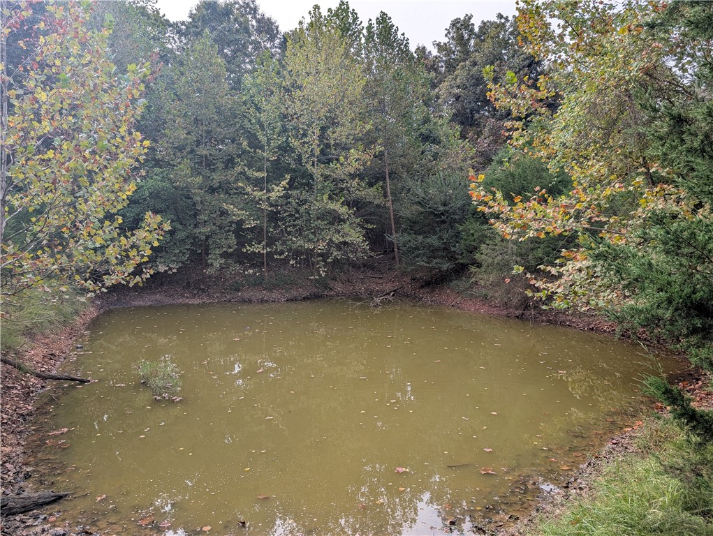 Image 15