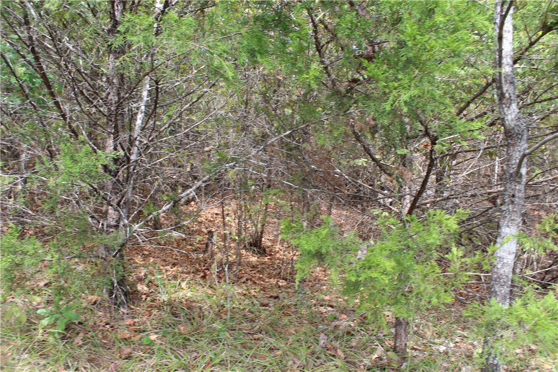 Image 19