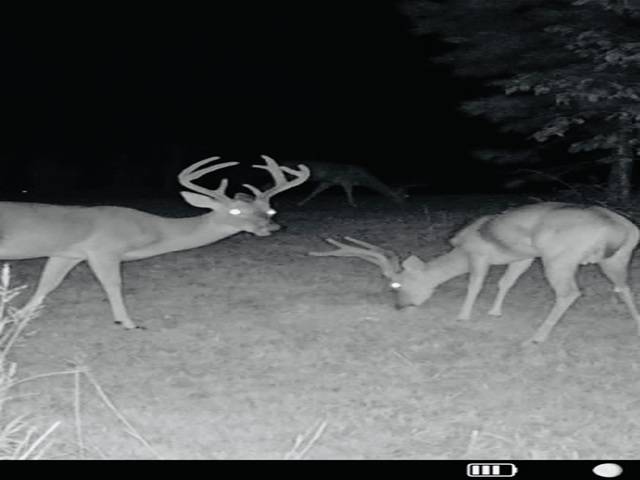 Image 8