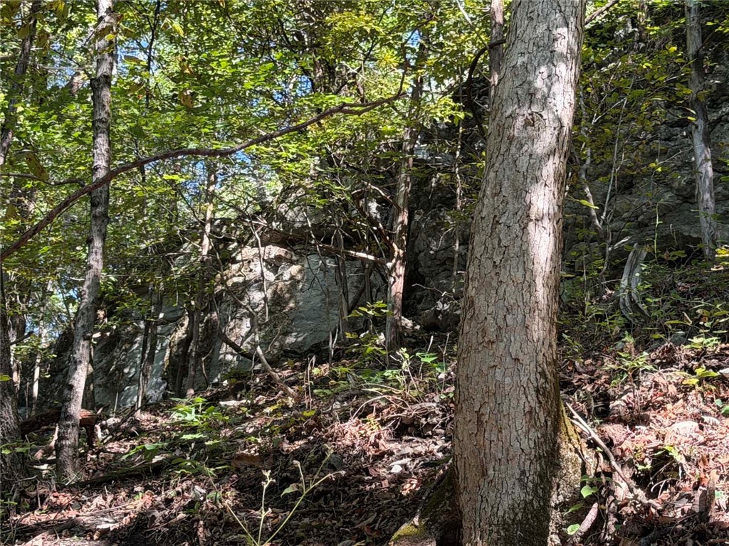 Image 13