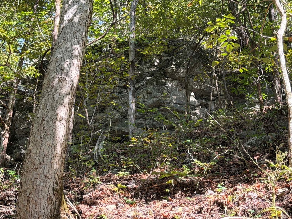 Image 14