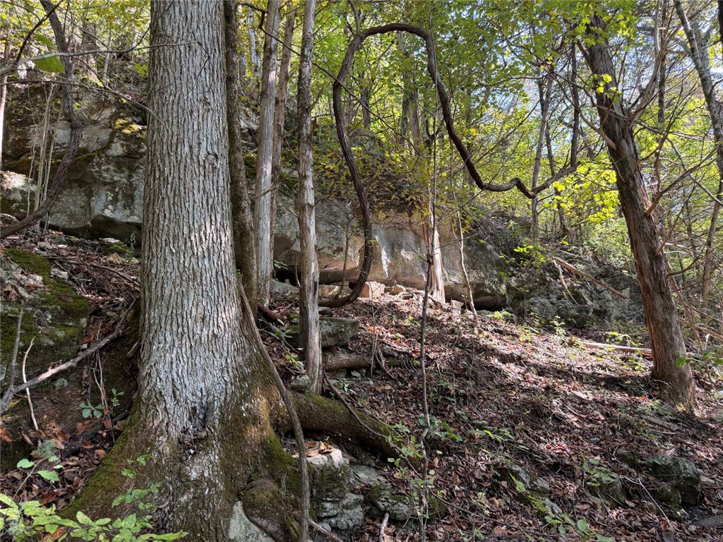 Image 15