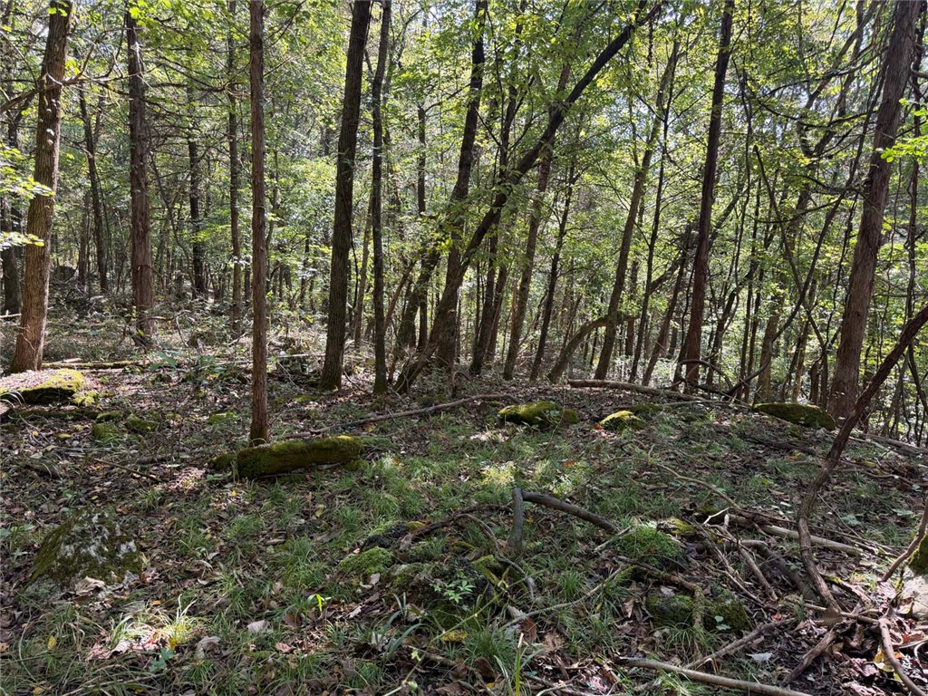 Image 16