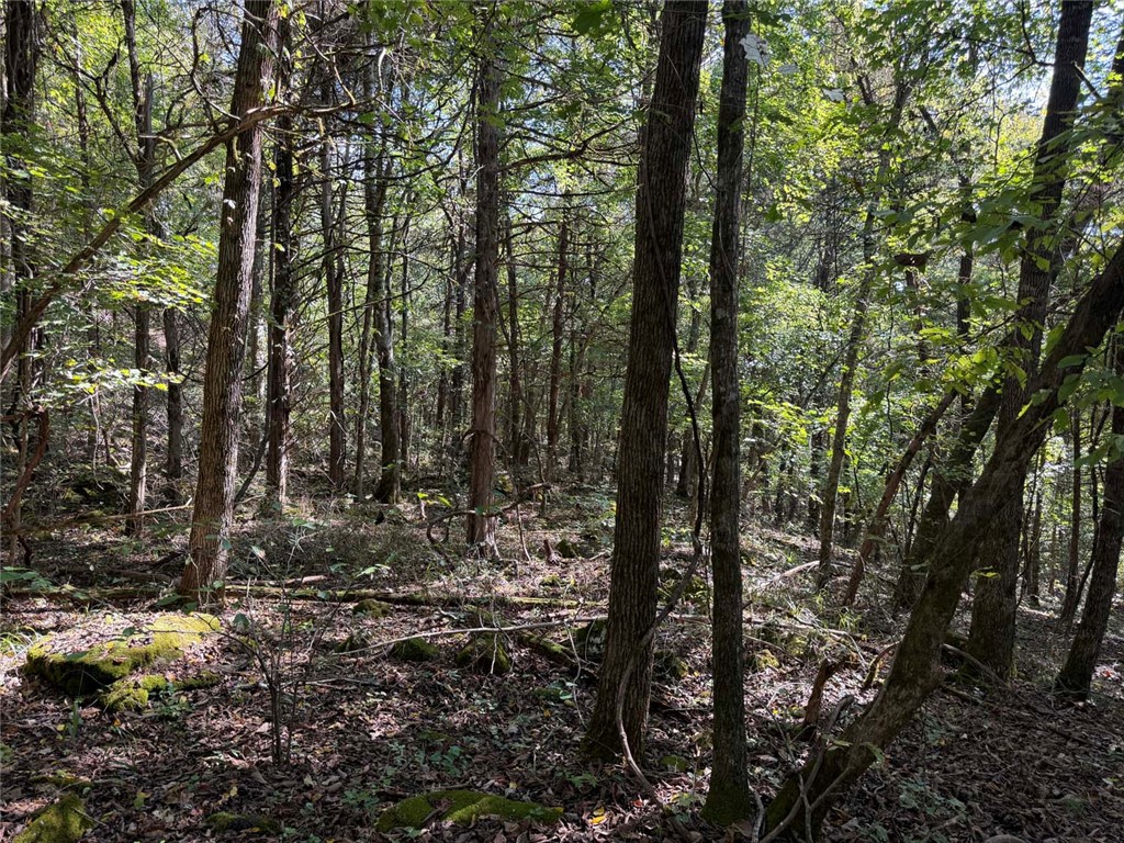 Image 18
