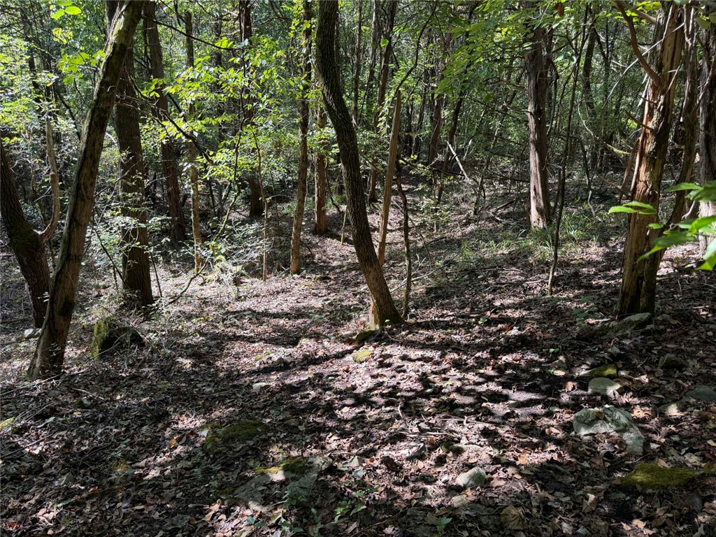 Image 21