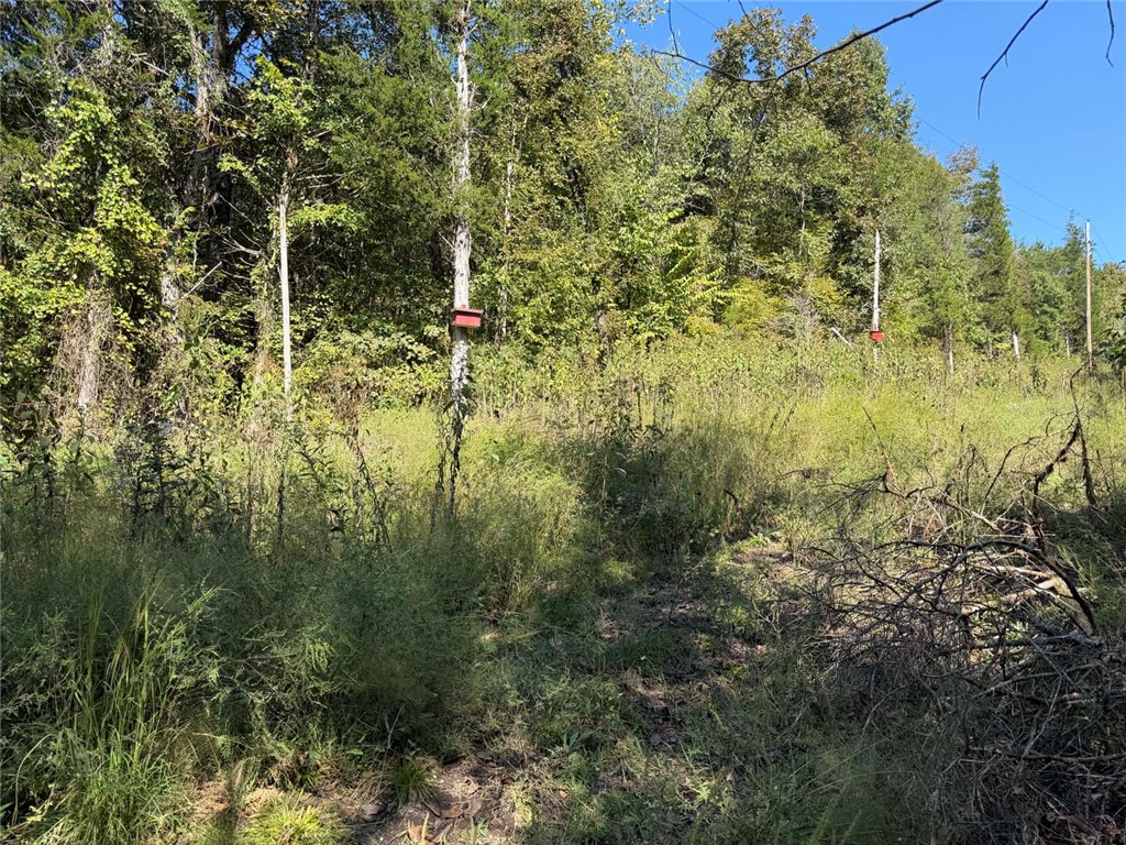 Image 30