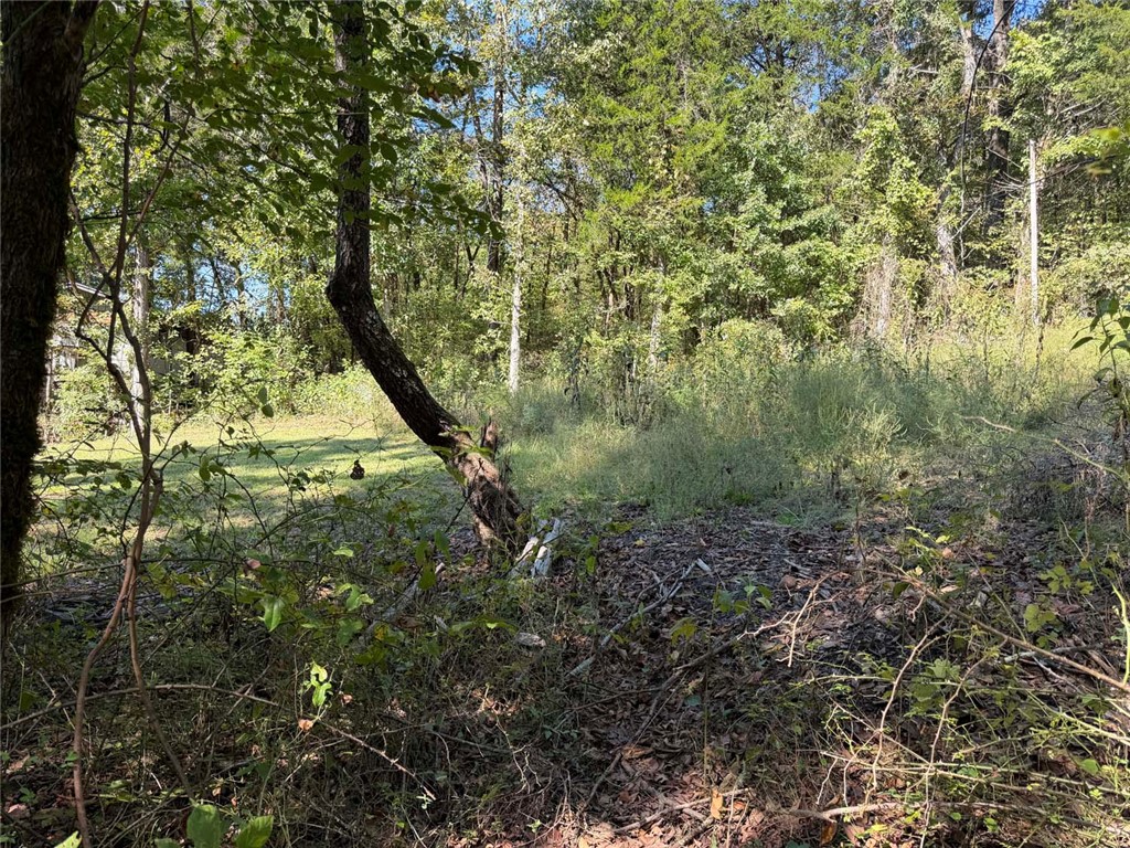 Image 33